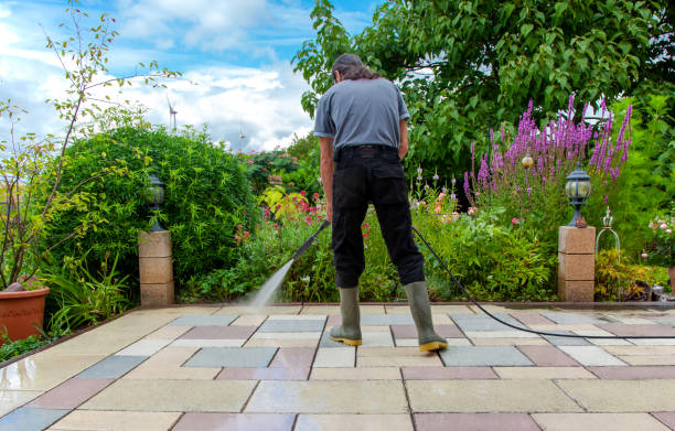 Best Spring Cleaning  in Jackson, WY