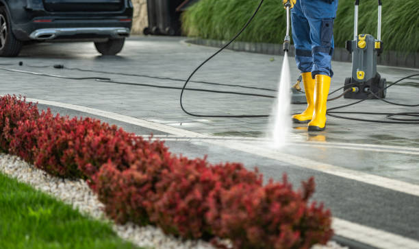 Best Oil Spill Cleanup  in Jackson, WY